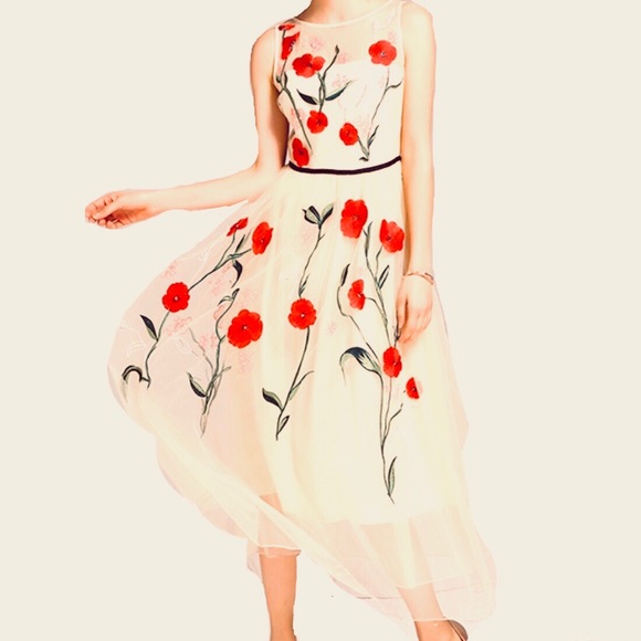 Metisu Dresses & Skirts - NWT Metisu Sleeveles Embroidered  Floral Dress